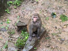 -黔灵山公园