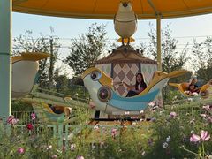 -水上乐园·欢乐世界