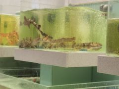 -至尊鲨鱼·原烹海鲜·新浙菜(拱宸桥店)
