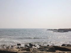 -渡海小渔村.老辈日照菜