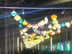 -南宫五洲植物乐园