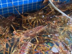 -望海潮海鲜店 特色家常菜(在海一方店)