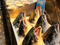 -初色海鲜自助(万丰路店)