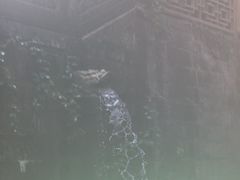 -法雨寺餐厅
