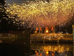 -海合安武汉极地海洋公园