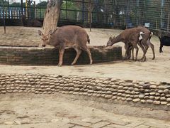 -武汉紫薇都市田园