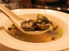 冲浪活辽参-龙宴海鲜城(经中路店)
