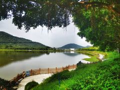 -风云岭森林公园