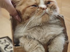 -宠颐生汉谟拉比宠物医院