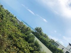 -三亚海棠湾喜来登度假酒店大堂吧
