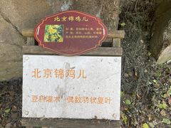 -灵溪风景区