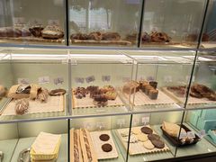 -西点坊(浦东香格里拉店)