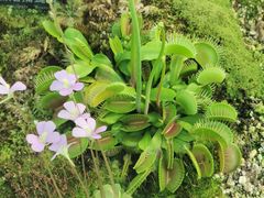 -国家植物园南园