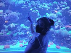 -太平洋海底世界