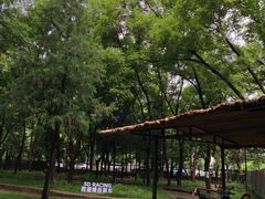 -大望京公园