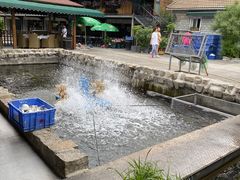 -京北渔家傲