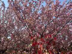 -祥源·阜阳生态乐园