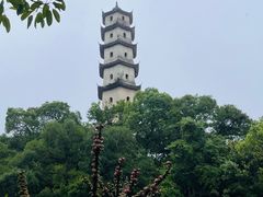 -江心屿景区