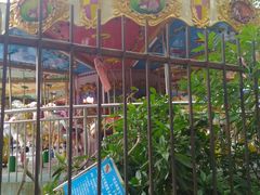 -水濂山乐民游艺园
