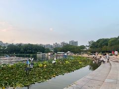 -新江湾城公园