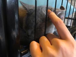 -飛凡TATTOO纹身•原创