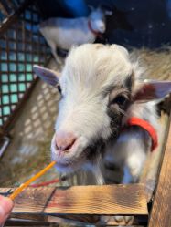 -酷嗒动物文化乐园(cutezoo西溪乐天城店)