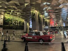 -SAINT LAURENT(海港城店)