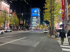 -秋叶原电器街