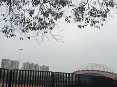 -南京财经大学(仙林校区)