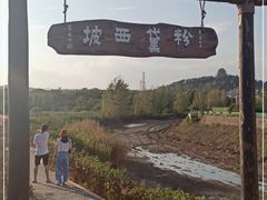 -金孔雀温泉旅游度假村