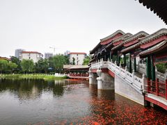 -西海子公园