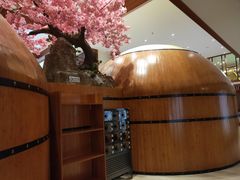 -天沐温泉(抚顺店)