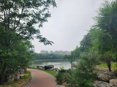 -朝阳公园游乐园