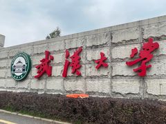 -武汉大学-樱园