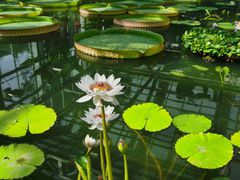 -国家植物园南园