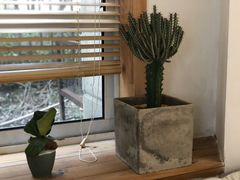 靠窗位-COTTON CAFE(德信·中外公寓店)