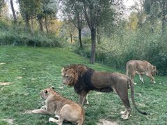 -北京野生动物园