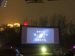 -枫花园汽车电影院(朝阳公园店)