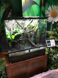 -酷嗒动物文化乐园(cutezoo西溪乐天城店)