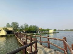 -西青郊野公园
