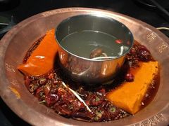 -杨家火锅(国美店)