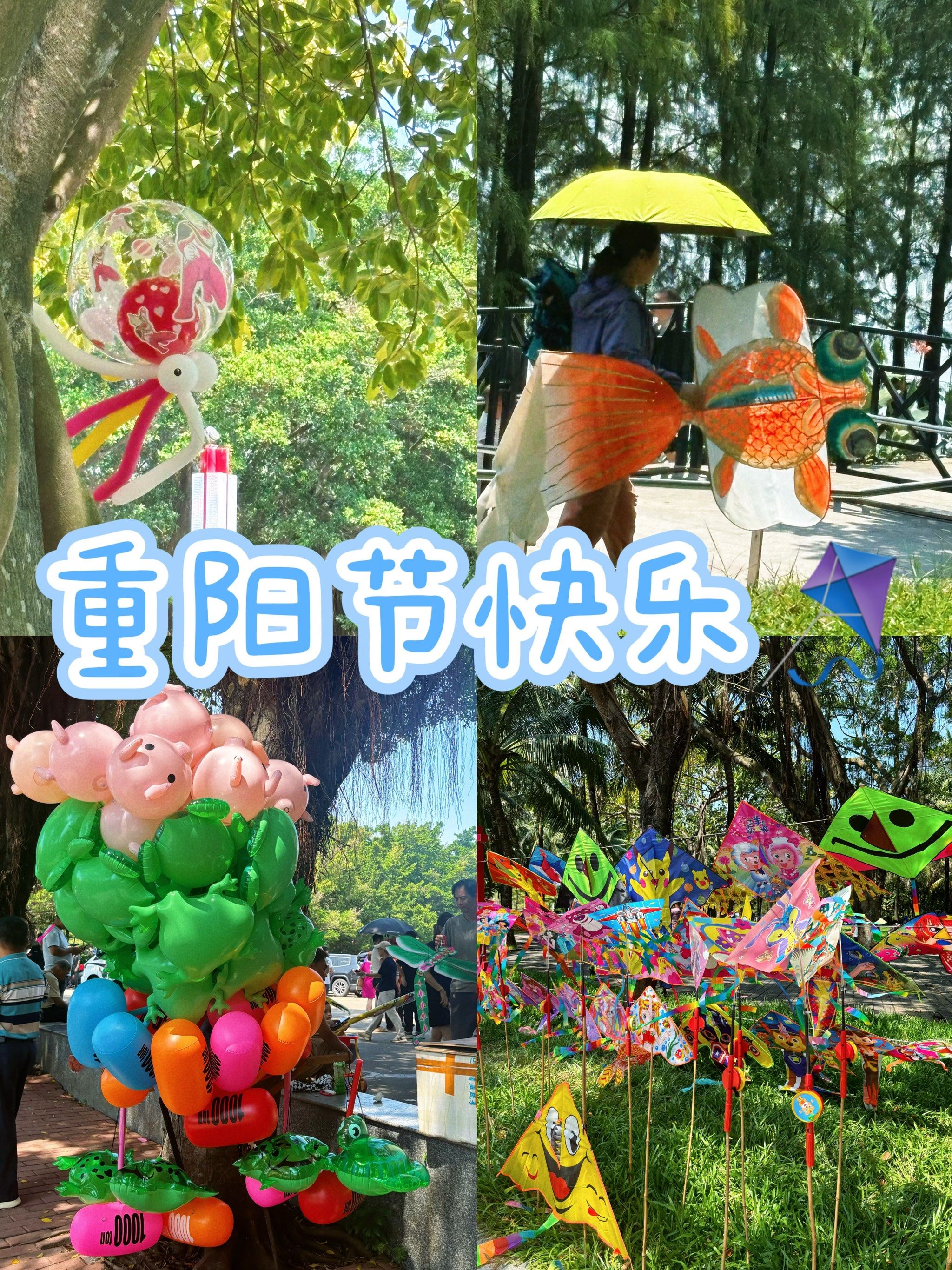 重阳节 ×阳江鸳鸯湖风筝节09
