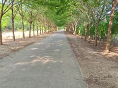 -盐城丹顶鹤湿地生态旅游区