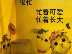 -厦门高崎国际机场-T3航站楼
