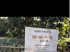 -西湖游船