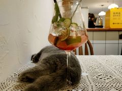 -猫友咖啡店(玉林西路店)