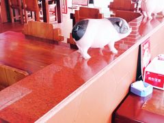-猪角·闽南猪脚饭(福清1店)
