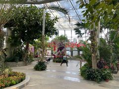 -北京植物园-展览温室