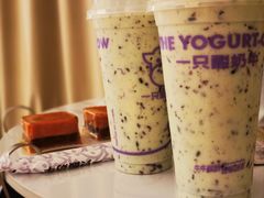 -一只酸奶牛(八一路店)