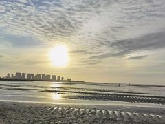 -红树林天天赶海